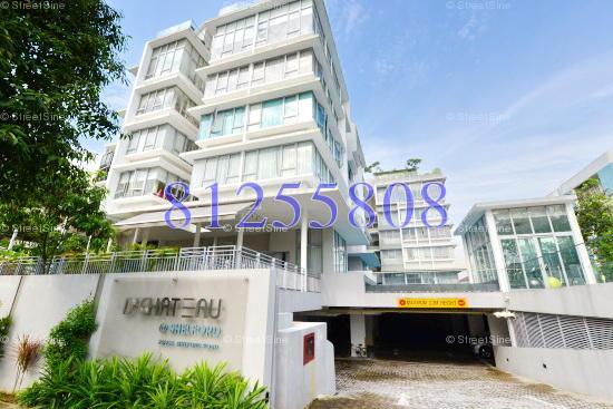 D' Chateau @ Shelford (D11), Apartment #149614612